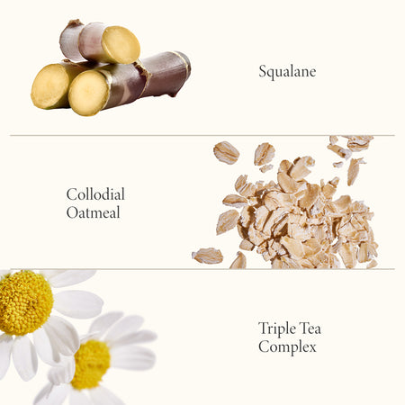 Nourishing Mask ingredients highlights